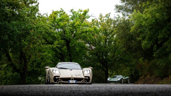 Effektive Strategien zur Vorbeugung von Harnwegsinfektionen bei älteren Katzen: Ein umfassender Leitfaden