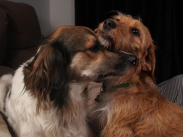 Welche innovativen AnsÃ¤tze gibt es fÃ¼r die Zukunft des Journalismus?